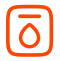 Drupal Audit